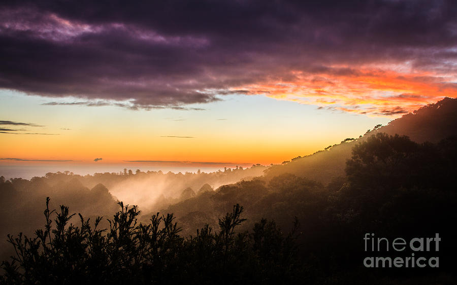 Nature Photograph - Mist Rising at Dusk by Silken Photography