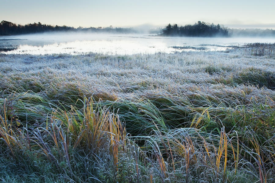 Mist Rising Over A Large Pond, Near Photograph by Susan Dykstra / Design Pics
