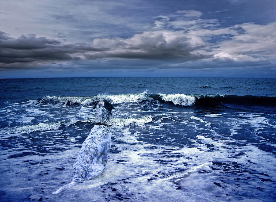 Fantasy Photograph - Mister Kallinski and the sea by Joachim G Pinkawa
