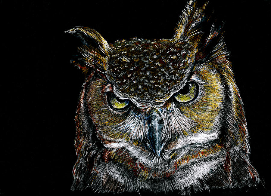 Mister Owl Drawing by William Underwood