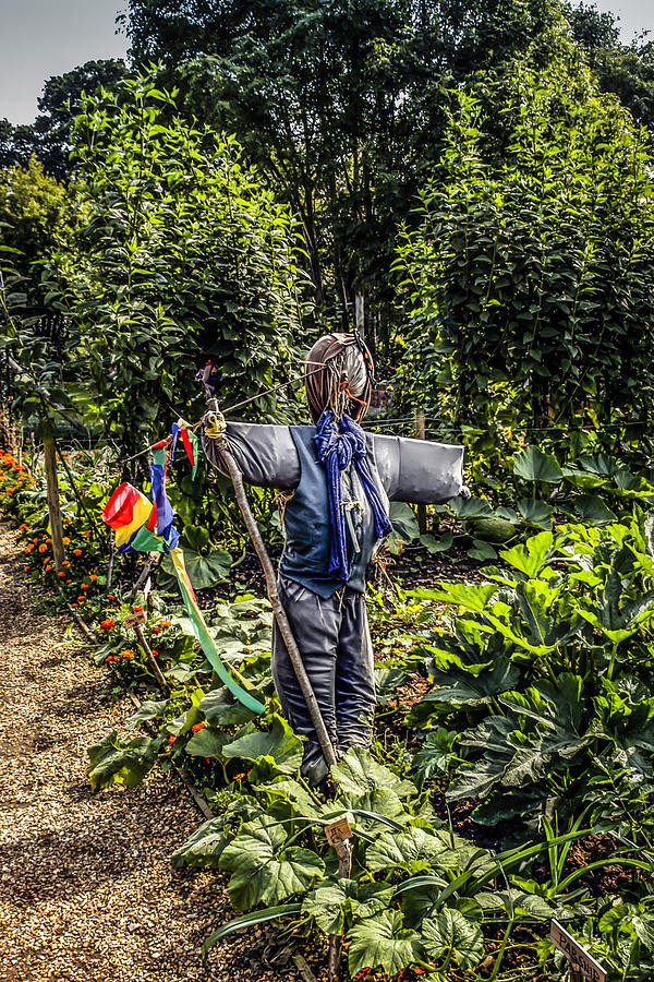 Mister Scarecrow Photograph by Chris Smith