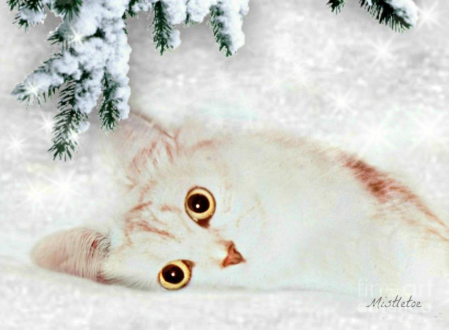 Winter Mixed Media - Mistletoe in the Snow by Morag Bates