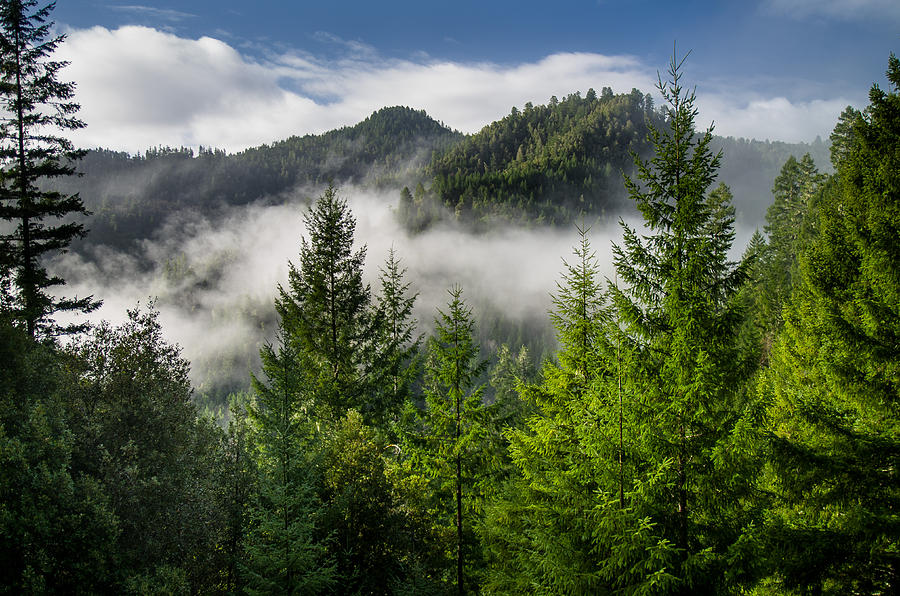 Mists among the Hills Photograph by Greg Nyquist