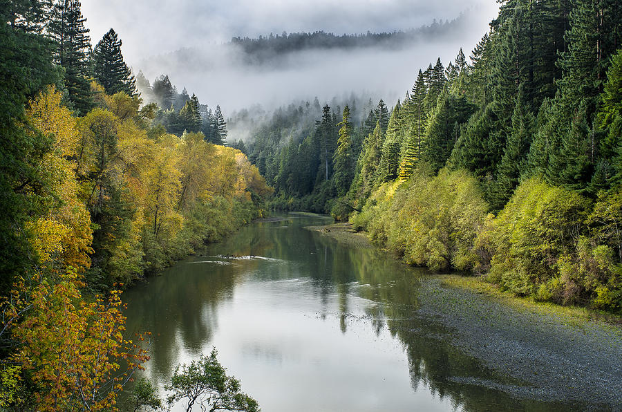 Mists and Fall Color on the Eel River Photograph by Greg Nyquist