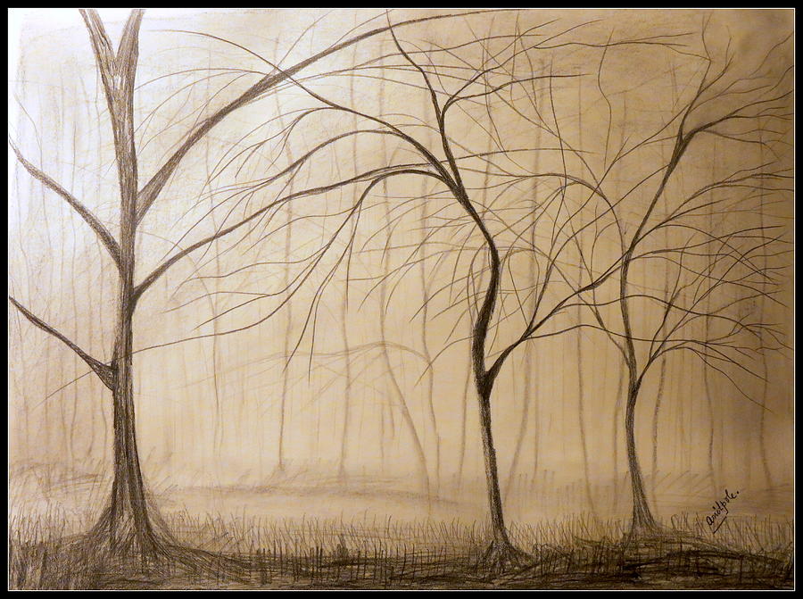 Misty and Foggy Forest Drawing by Amit Pole Fine Art America