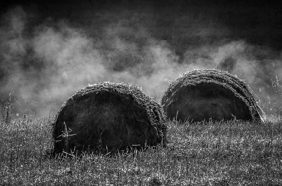 Misty Bales Photograph by Brian Stevens