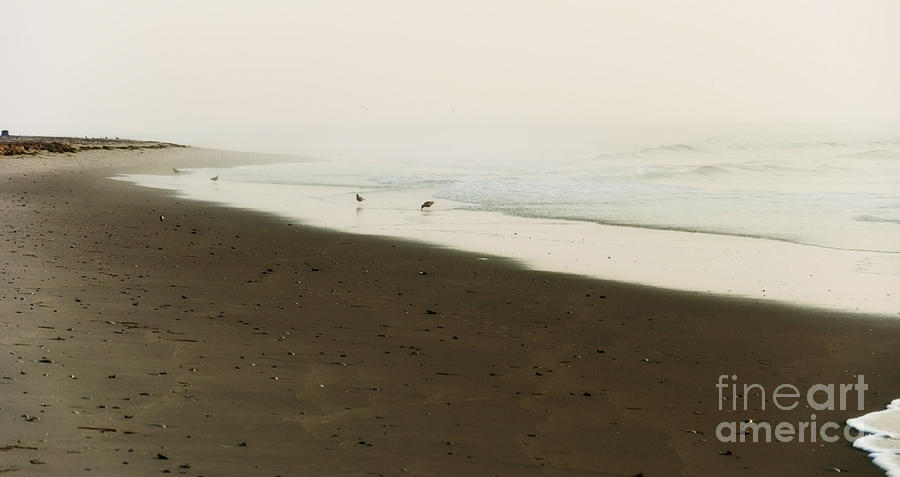 Misty Beach at Dawn Photograph by Debra Fedchin