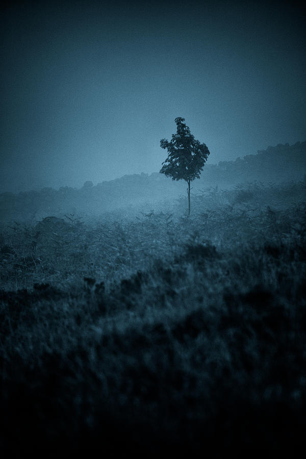 Misty Blue Photograph by Nigel R Bell