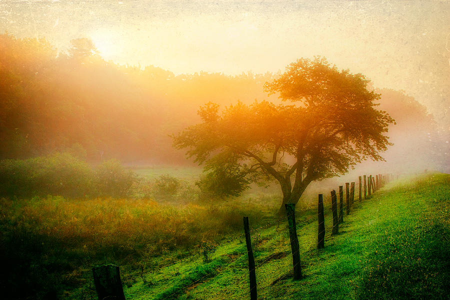 Misty Blue Ridge Sunrise 4177 Painting by Dan Carmichael