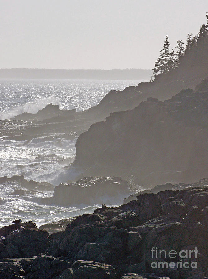 Seagull Photograph - Misty Coast Line by Helene Guertin