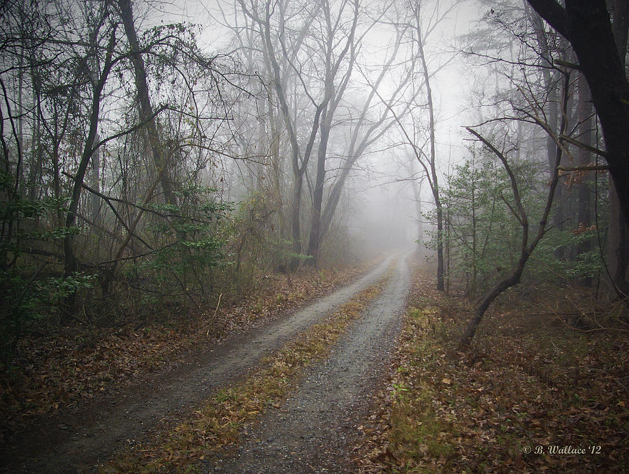 Misty Country Road Photograph by Brian Wallace