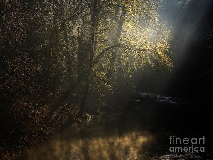 Misty Creek Photograph by Inge Riis McDonald