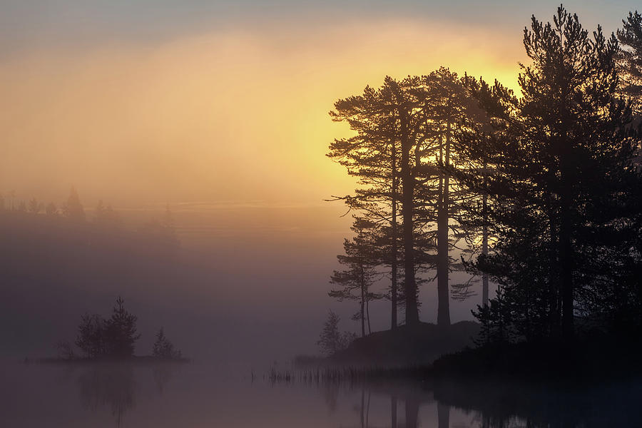 Misty Dawn Photograph by Baac3nes