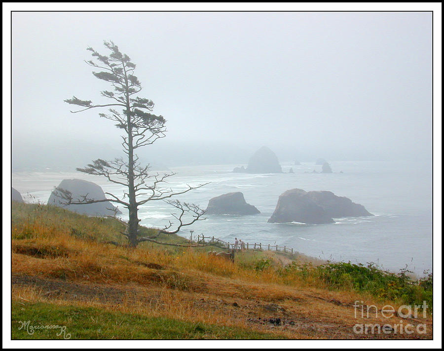 Misty Day Photograph by Mariarosa Rockefeller