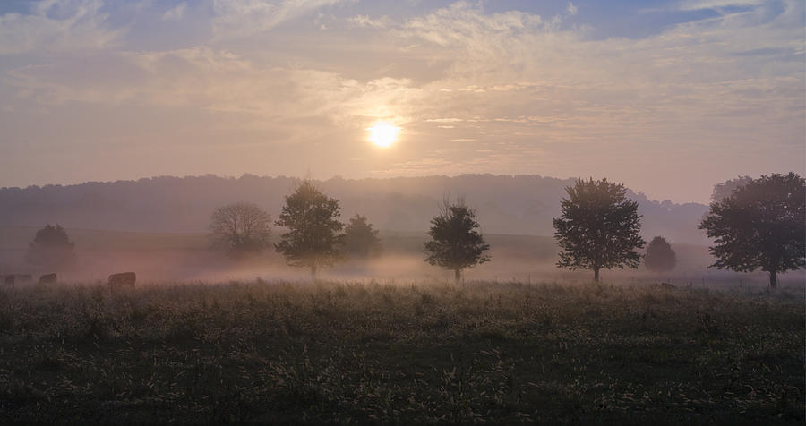 Misty Farm at Sunrise Photograph by Bill Cannon
