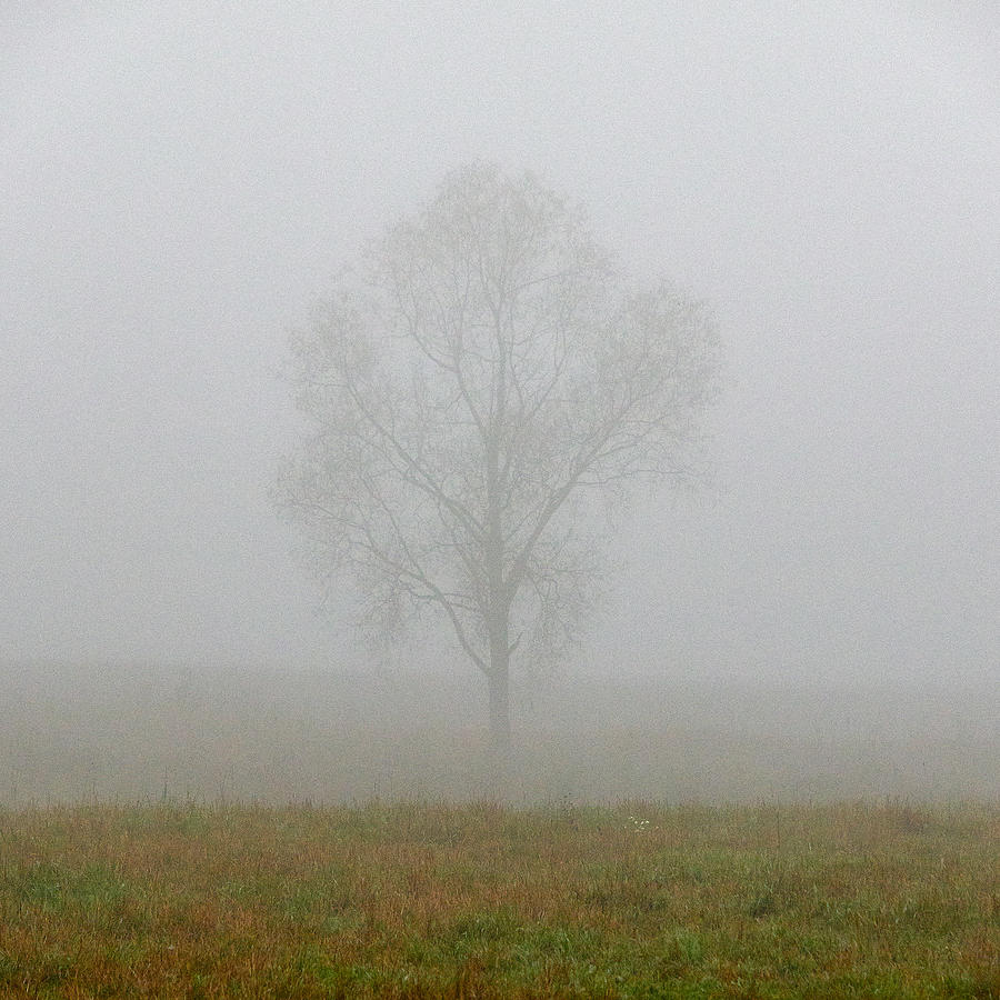 Misty field Photograph by Jouko Lehto