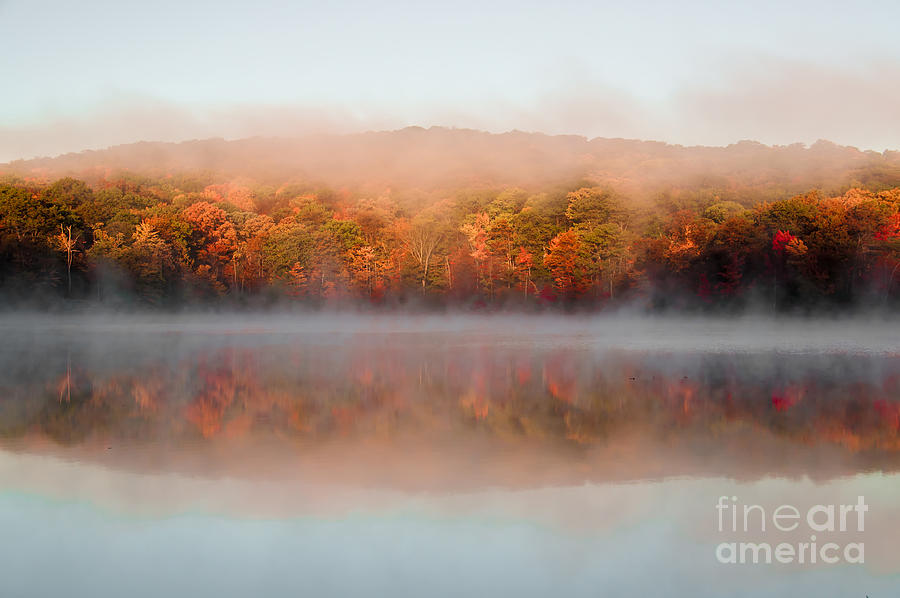 Misty Foliage Photograph by Anthony Sacco