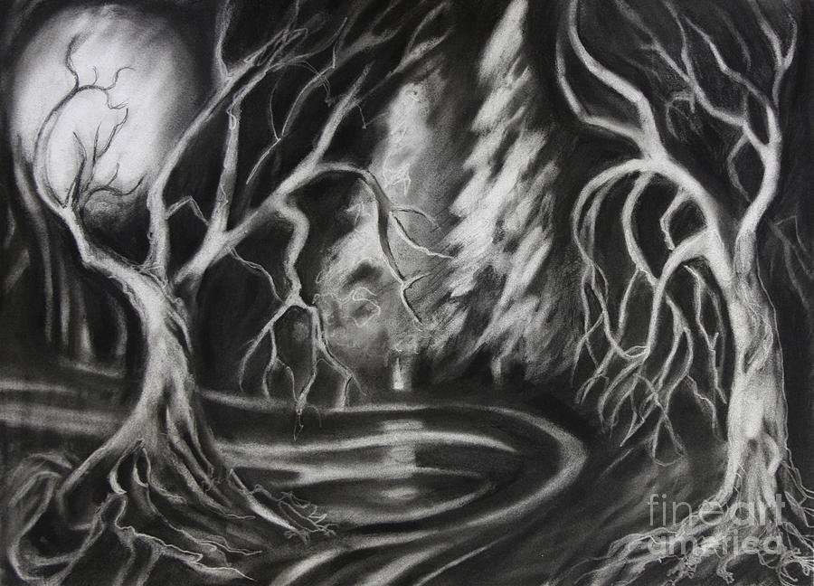 Misty Forest Drawing By Cathy Sanders