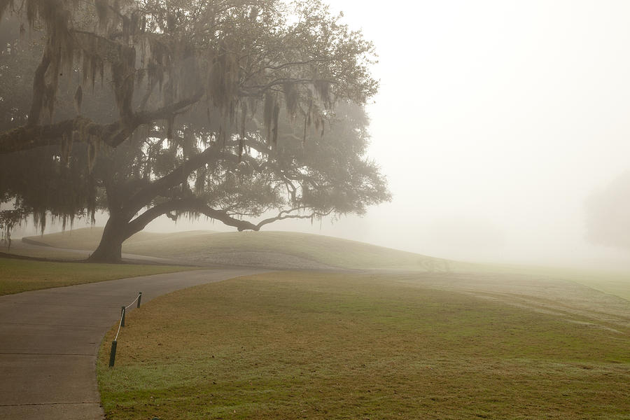 Tree Photograph - Misty Golf Course I by Barbara Northrup