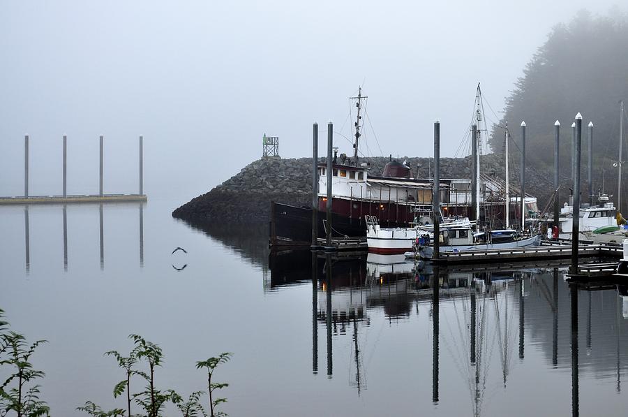 Misty Harbor Photograph by Cathy Mahnke