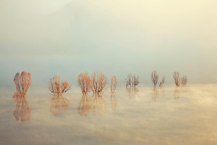 Misty Lake In Spring Photograph by Temizyurek