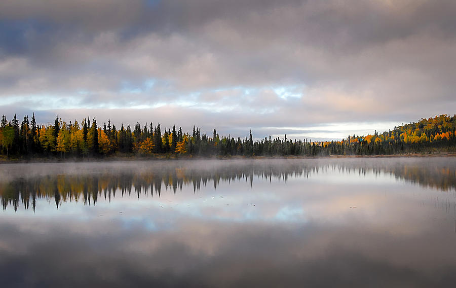 Misty Lake Photograph by Patrick Wolf