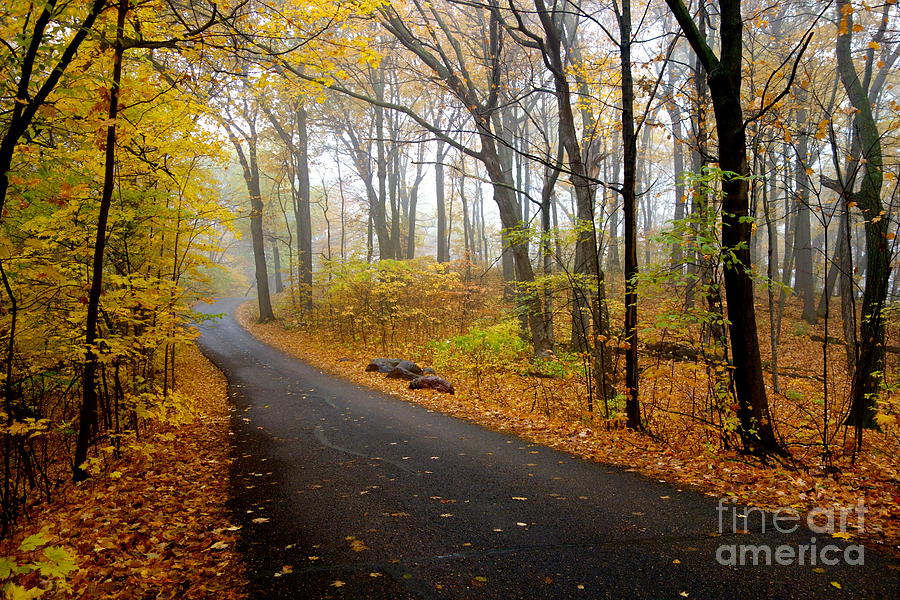 Fall Photograph - Misty Minnesota Mile by Jacqueline Athmann