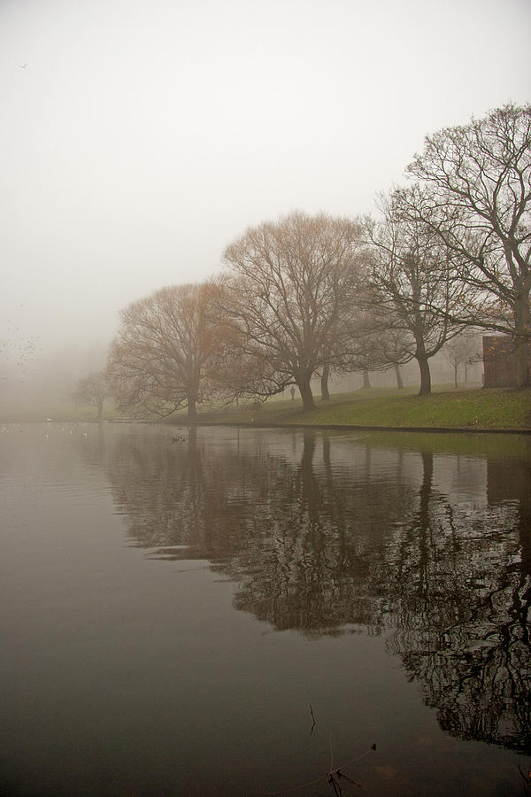Misty Moments in the park. Photograph by Paul Scoullar