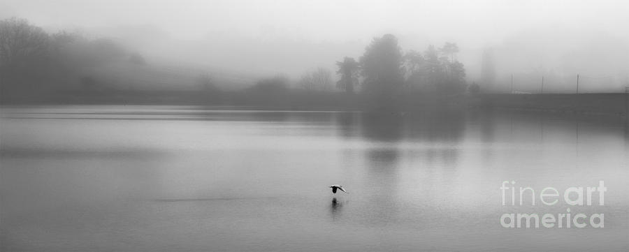 Misty Morn Photograph by Linsey Williams
