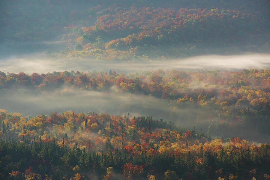 Fall Photograph - Misty Morning by ??? / Austin