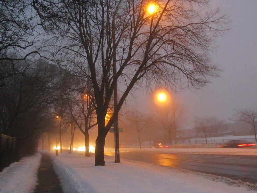 Misty Morning After Snow Fall Photograph by Alfred Ng