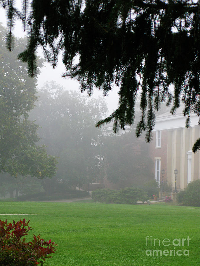 Misty Morning Photograph by Ann Horn