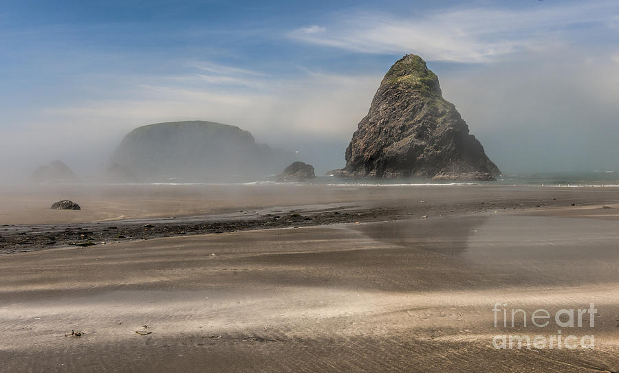 Beach Photograph - Misty Morning at Whale Rock by Sandra Bronstein