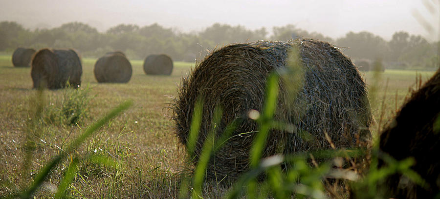 Misty Morning Bales of Hay by Sarah Broadmeadow-Thomas Misty Morning Bales of Hay by Sarah Broadmeadow-Thomas