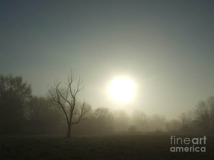 Landscape Painting - Misty Morning Blue by Scott Bennett