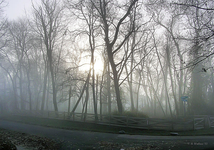 Misty Morning Photograph by Brian Wallace