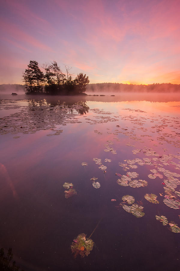 Sunrise Photograph - Misty Morning by Bryan Bzdula