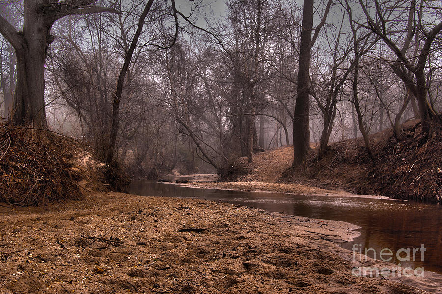 Misty Morning Creek Photograph