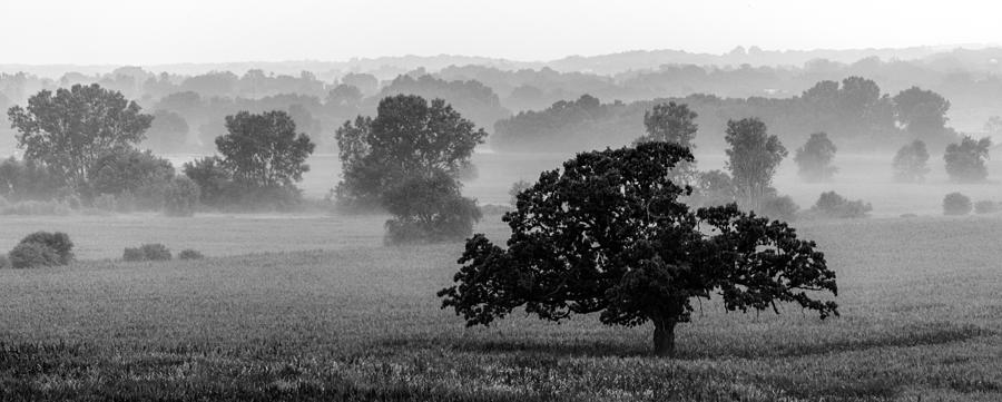 Misty Morning in Monochrome Photograph by Randy Scherkenbach
