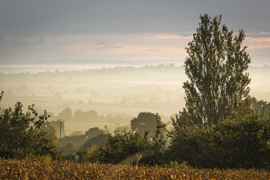 Misty Morning In Normandy Photograph