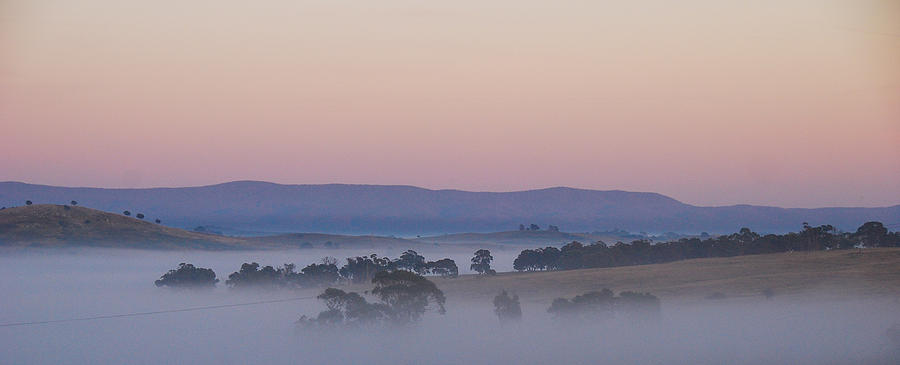 Misty morning in the country Photograph by Fran Woods