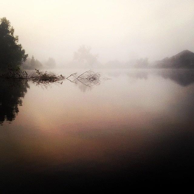 Nature Photograph - Misty Morning #iphone5 by Scott Pellegrin