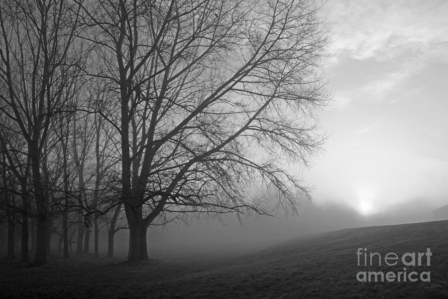 British Landscape Photograph - Misty Morning by Julia Gavin