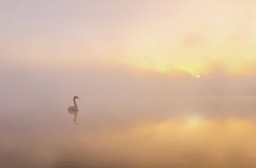 Water Photograph - Misty Morning by Katarzyna Gritzmann Water Photograph - Misty Morning by Katarzyna Gritzmann