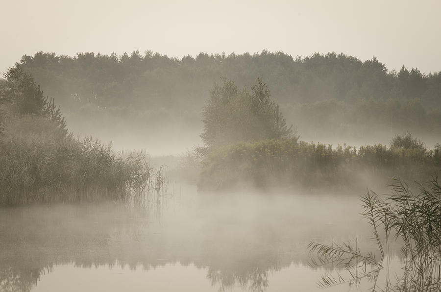 Misty morning Photograph by Leszek Czerwonka - Fine Art America