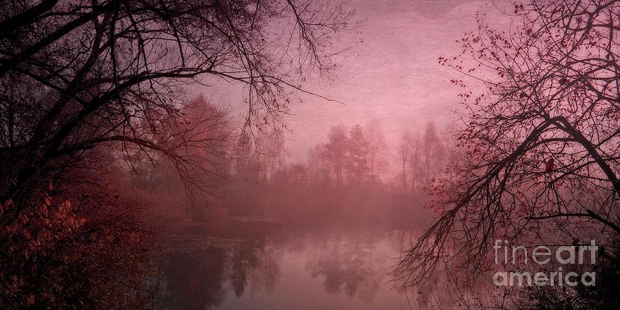 Landscape Photograph - Misty Morning Light by Priska Wettstein