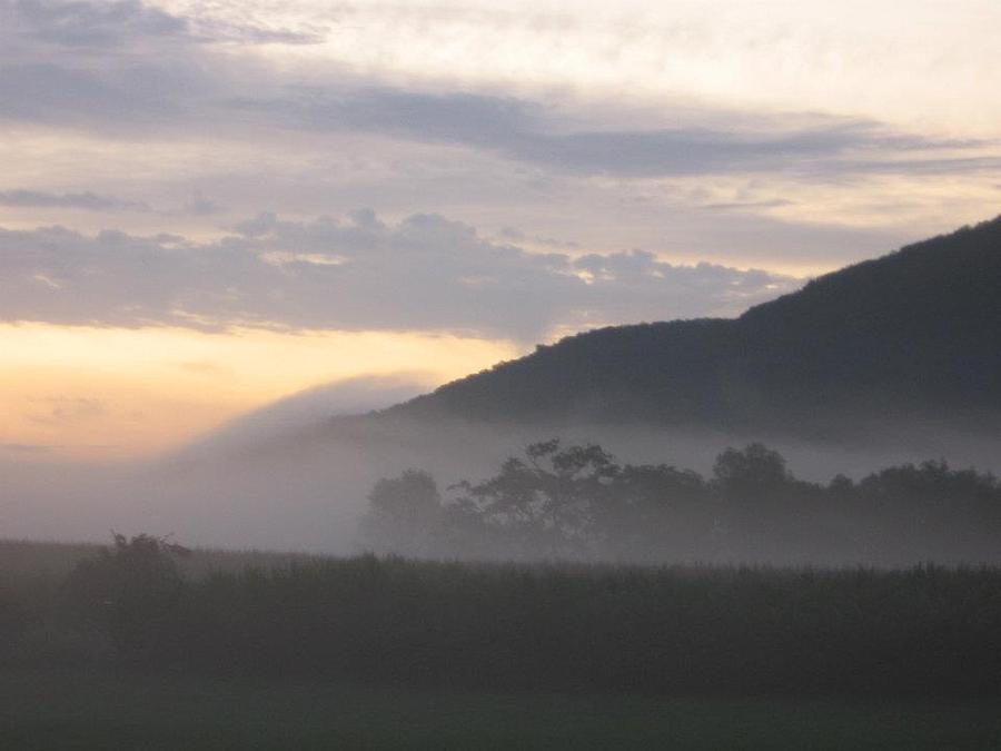 Landscape Photograph - Misty Morning by Megan Hughes