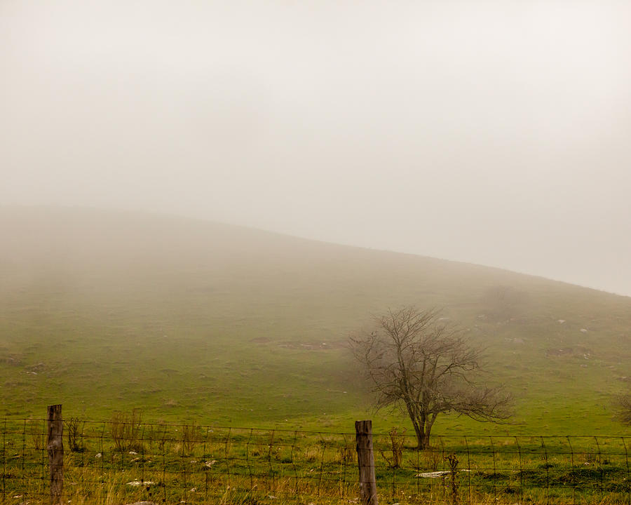 Misty Morning Photograph by Melinda Ledsome