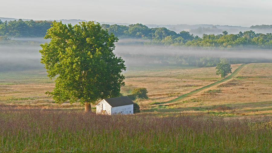 Misty Morning Photograph by Michael Porchik
