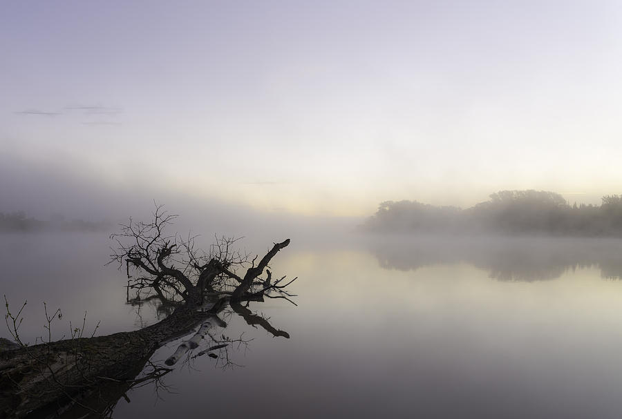 Misty Morning Photograph by Nebojsa Novakovic